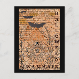 Halloween Samhain Spider Webs Postkarte