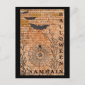 Halloween Samhain Spider Webs Postkarte (Vorderseite)