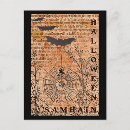 Halloween Samhain Spider Webs Postkarte (Vorderseite)