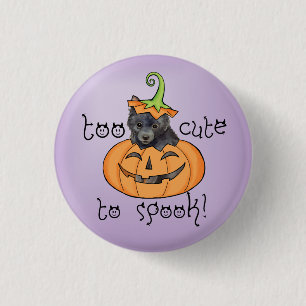 Halloween Schipperke Button