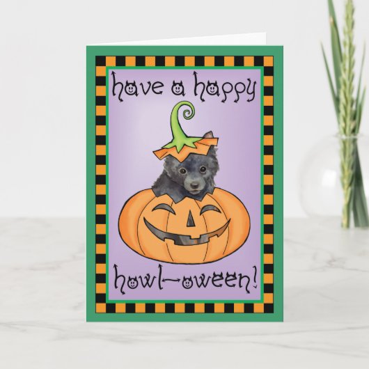 Halloween Schipperke Card Karte (Vorderseite)