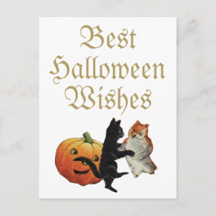 Halloween-Schwarze Katze, Eule und Kürbis Postkarte