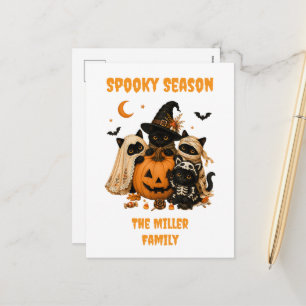 Halloween schwarze Katze Kürbis Hexe Feiertagspostkarte