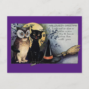 Halloween-Schwarze Katze und Eule Postkarte