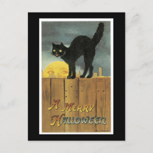 Halloween-Schwarze Katze und Vollmond Postkarte
