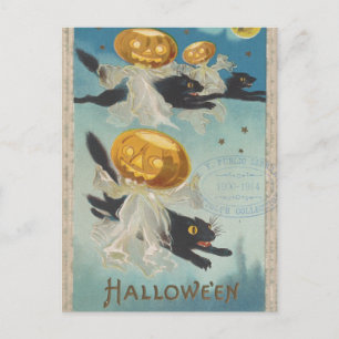 Halloween schwarze Katzen & Kürbis-Geister Vintage Postkarte