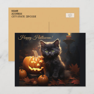 Halloween schwarze Kitty-Katze, Jack o Lantern Kür Postkarte