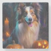 Halloween Shetland Sheepdog mit Pumpkins Beängstig Steinuntersetzer (Vorderseite)