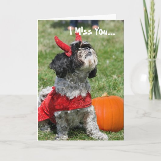 Halloween Shih Tzu dog Karte (Vorderseite)