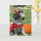 Halloween Shih Tzu dog Karte (Gelbe Blume)