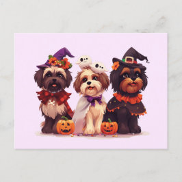 Halloween Shih Tzu Dogs Postkarte