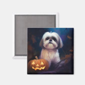 Halloween Shih Tzu mit Pumpkins Beängstigend Magnet (Vorderseite/Rückseite)