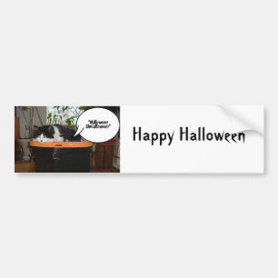 Halloween Shmalloween Autoaufkleber