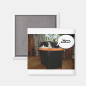 Halloween Shmalloween Magnet (Vorderseite/Rückseite)