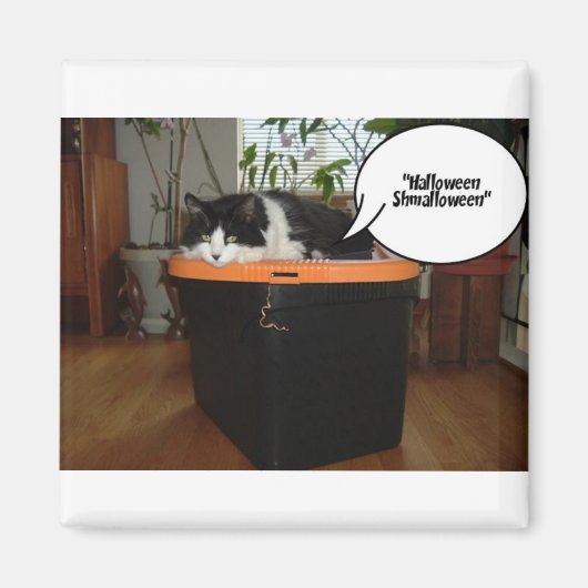 Halloween Shmalloween Magnet (Vorne)
