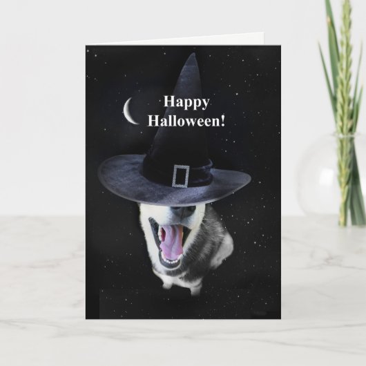 Halloween Siberian Husky Witchy Fun Karte (Vorderseite)