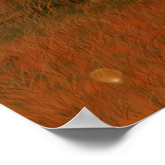 Halloween Skeleton Konzert Poster (Ecke)