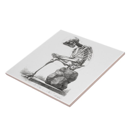 Halloween Skelett Sitting Anatomie Fliese (Seite)