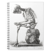 Halloween Skelett Sitting Anatomie Notizblock (Vorderseite)