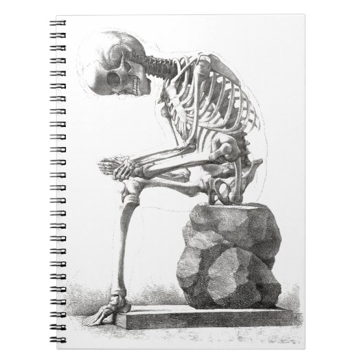 Halloween Skelett Sitting Anatomie Notizblock (Vorderseite)