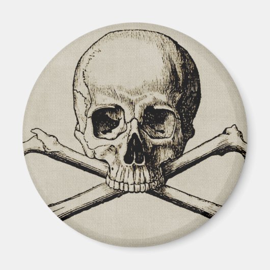 Halloween Skull Bone Magnet (Vorne)
