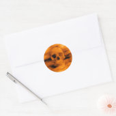 Halloween-Skull-Gothic-Horror-Umschlag Aufkleber (Umschlag)