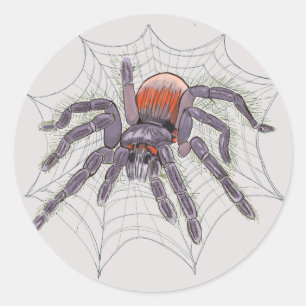 Halloween Spider Creepy Fun Runder Aufkleber