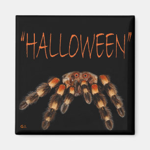 Halloween Spider Magnet