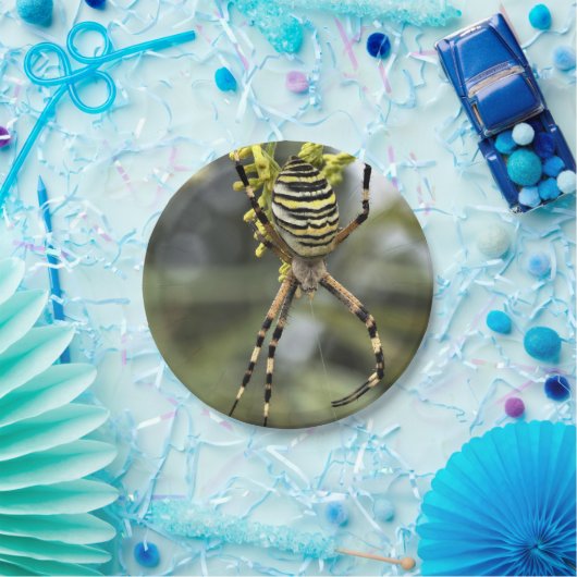 Halloween Spider Paper Plate Pappteller (Party)