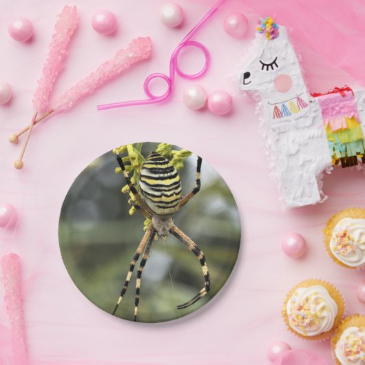 Halloween Spider Paper Plate Pappteller (Party)