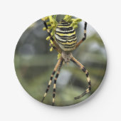 Halloween Spider Paper Plate Pappteller (Vorderseite)