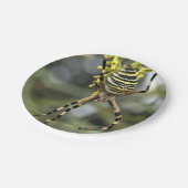 Halloween Spider Paper Plate Pappteller (Schrägansicht)