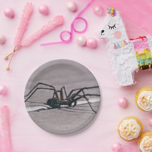 Halloween Spider Paper Plate Pappteller (Party)