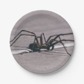 Halloween Spider Paper Plate Pappteller (Vorderseite)