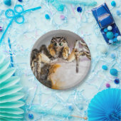 Halloween Spider Paper Plate Pappteller (Party)