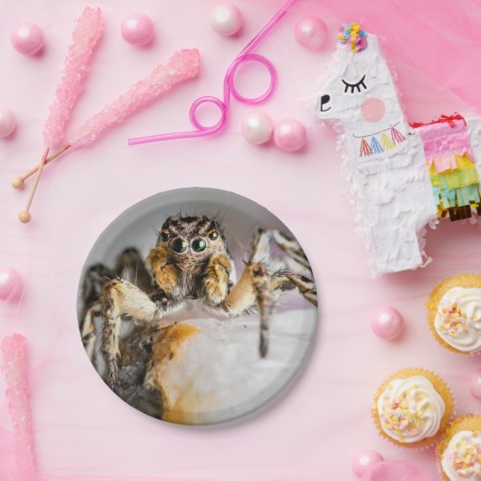 Halloween Spider Paper Plate Pappteller (Party)