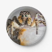 Halloween Spider Paper Plate Pappteller (Vorderseite)