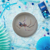 Halloween Spider Paper Plate Pappteller (Party)