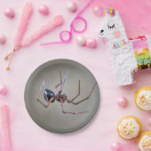 Halloween Spider Paper Plate Pappteller (Party)