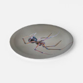Halloween Spider Paper Plate Pappteller (Schrägansicht)
