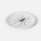 Halloween Spider Paper Plate Pappteller (Schrägansicht)