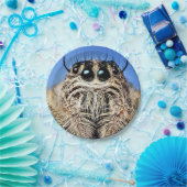 Halloween Spider Paper Plate Pappteller (Party)