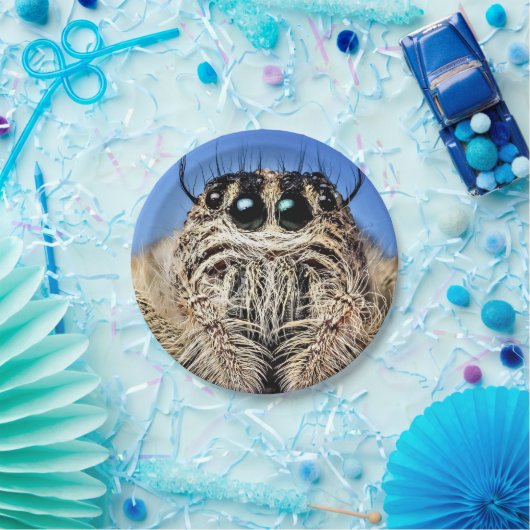 Halloween Spider Paper Plate Pappteller (Party)