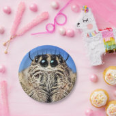 Halloween Spider Paper Plate Pappteller (Party)