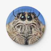 Halloween Spider Paper Plate Pappteller (Vorderseite)