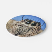 Halloween Spider Paper Plate Pappteller (Schrägansicht)