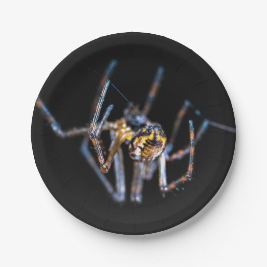 Halloween Spider Paper Plate Pappteller (Vorderseite)