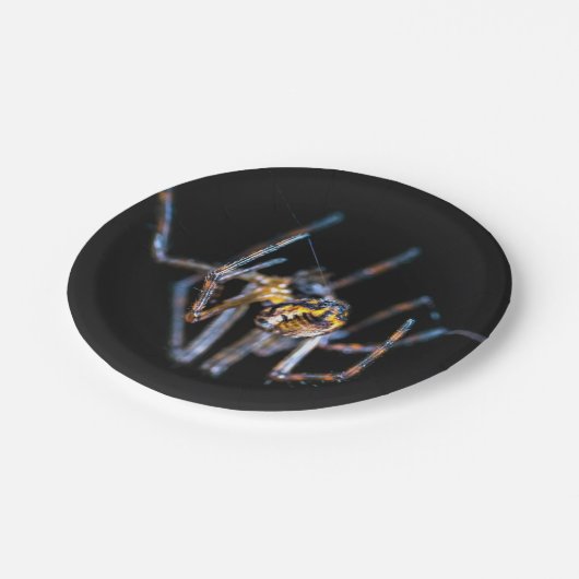Halloween Spider Paper Plate Pappteller (Schrägansicht)