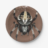 Halloween Spider Paper Plate Pappteller (Vorderseite)