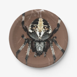 Halloween Spider Paper Plate Pappteller